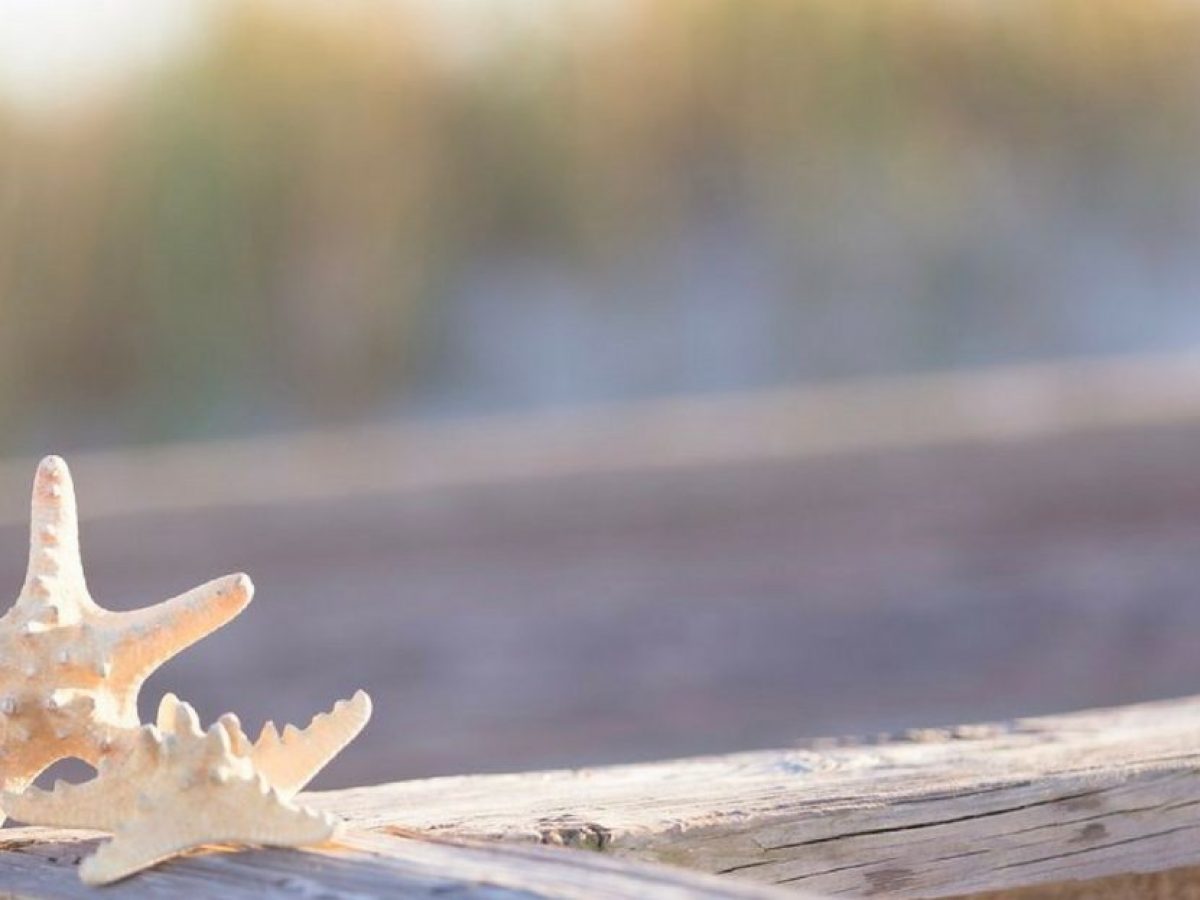Best Places To Stay And Play In New Smyrna Beach Fl